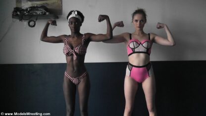 ALEVA vs GAYANE - Image 2