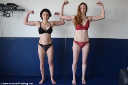 IRIS vs MILANA #2 - Image 2
