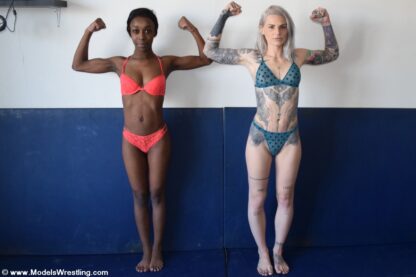 JODIE vs MAMBA - Image 2