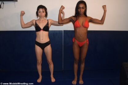 CAMILLE vs MAMBA - Image 2