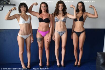 CALISTA vs HANA - Image 5